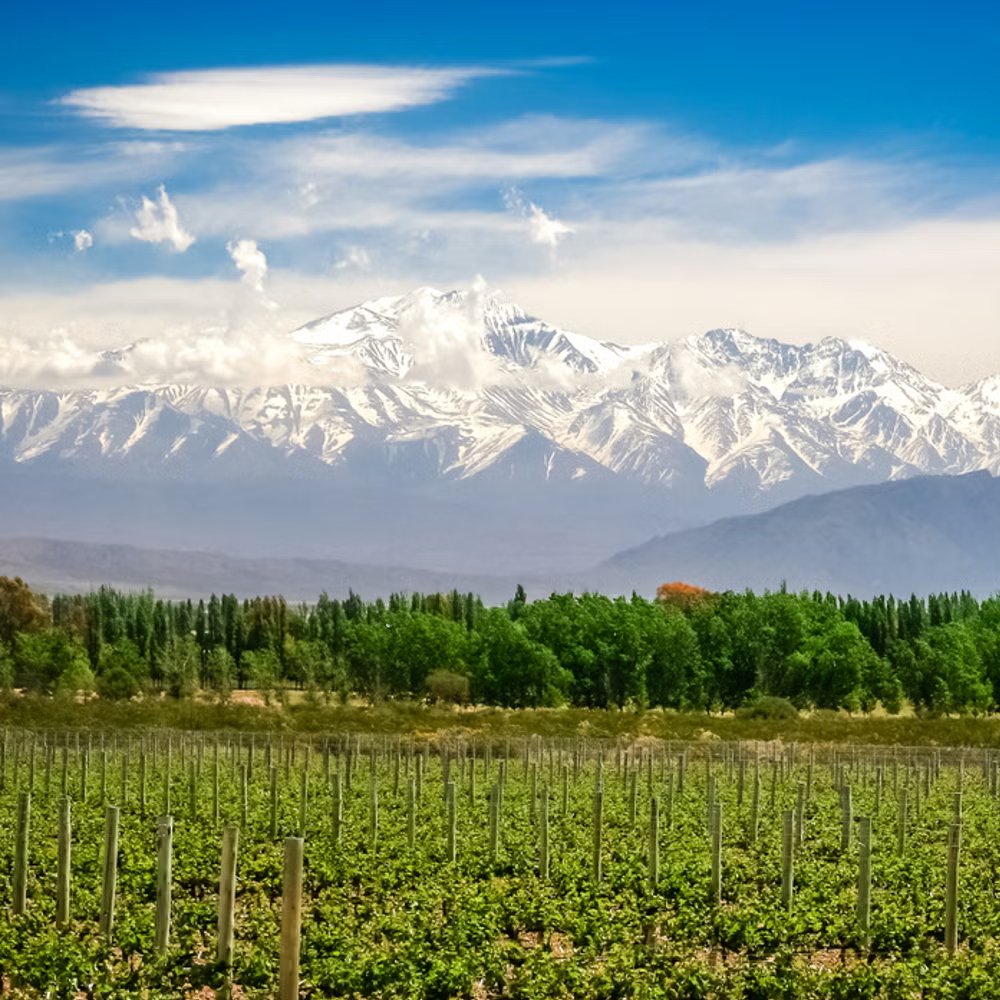 Vùng làm vang Mendoza Vùng làm vang Mendoza