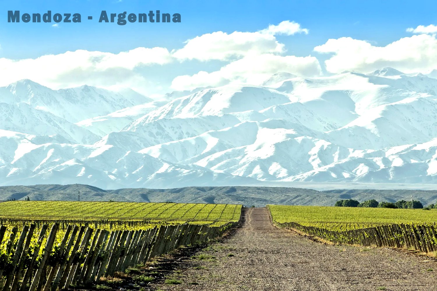 Tìm hiểu vùng rượu vang Mendoza Argentina P.2 | Wine Home Rượu Vang Nhập Khẩu Vùng rượu vang Mendoza