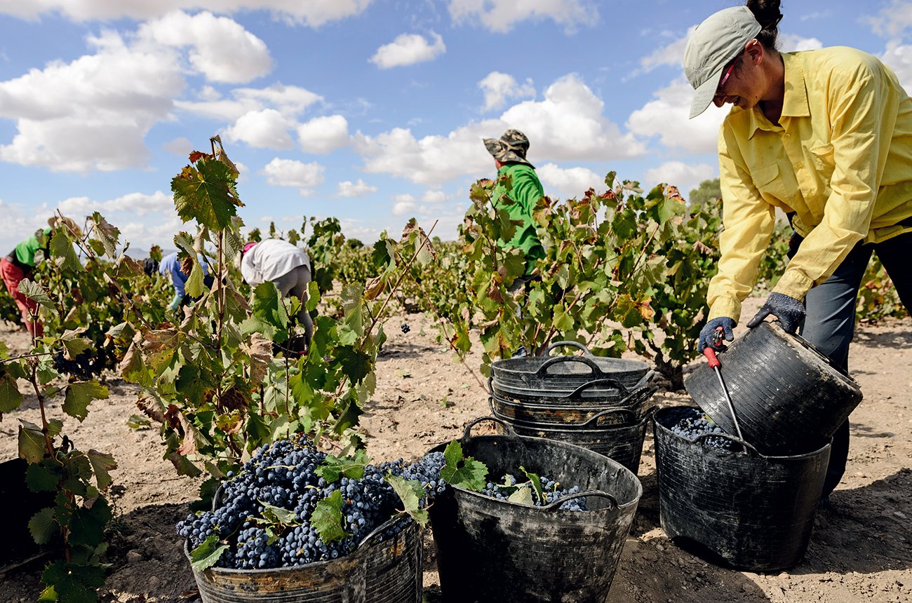 Tìm hiểu vùng rượu vang Jumilla – Viên ngọc quý của Tây Ban Nha | Wine Home Rượu Vang Nhập Khẩu Vùng rượu vang Jumilla