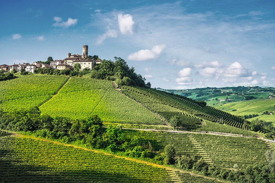 Tìm hiểu thương hiệu rượu vang Provinco Italia – Đổi Mới, Sáng Tạo | Wine Home Rượu Vang Nhập Khẩu Provinco Vineyard