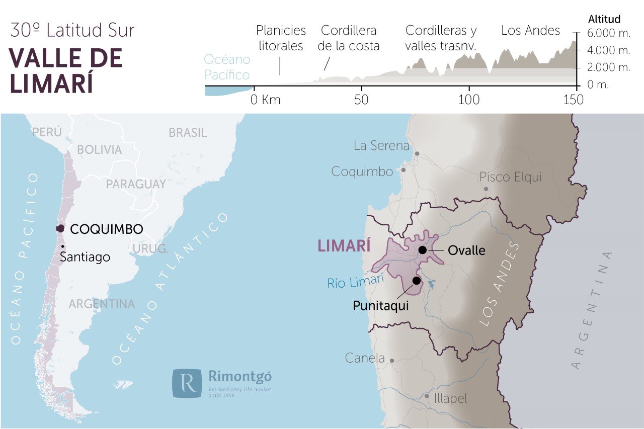Vùng rượu vang Limari Valley – Viên ngọc ẩn của Chile | Wine Home Rượu Vang Nhập Khẩu Limari Valley