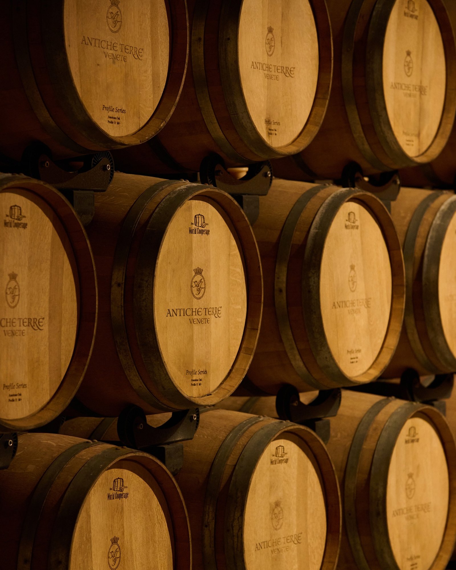 Tìm hiểu thương hiệu rượu vang Antiche Terre Venete – Tinh hoa rượu vang Veneto từ trái tim Verona | Rượu Vang Wine Home Rượu vang tại Antiche Terre Venete