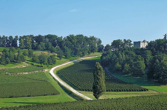 Thương hiệu Chateau Laroque – Biểu tượng Grand Cru Classe của Saint-Émilion | Wine Home Rượu Vang Nhập Khẩu Vườn nho Chateau Laroque