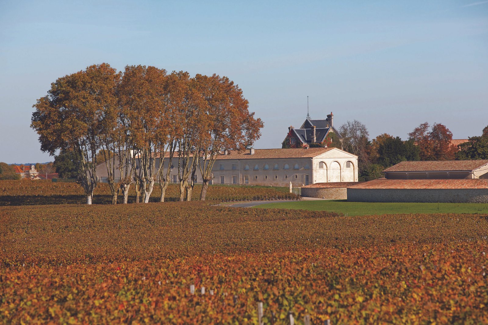 Chateau Mouton Rothschild – Biểu tượng đỉnh cao của rượu vang Bordeaux | Wine Home Rượu Vang Nhập Khẩu chateau mouton rothschild