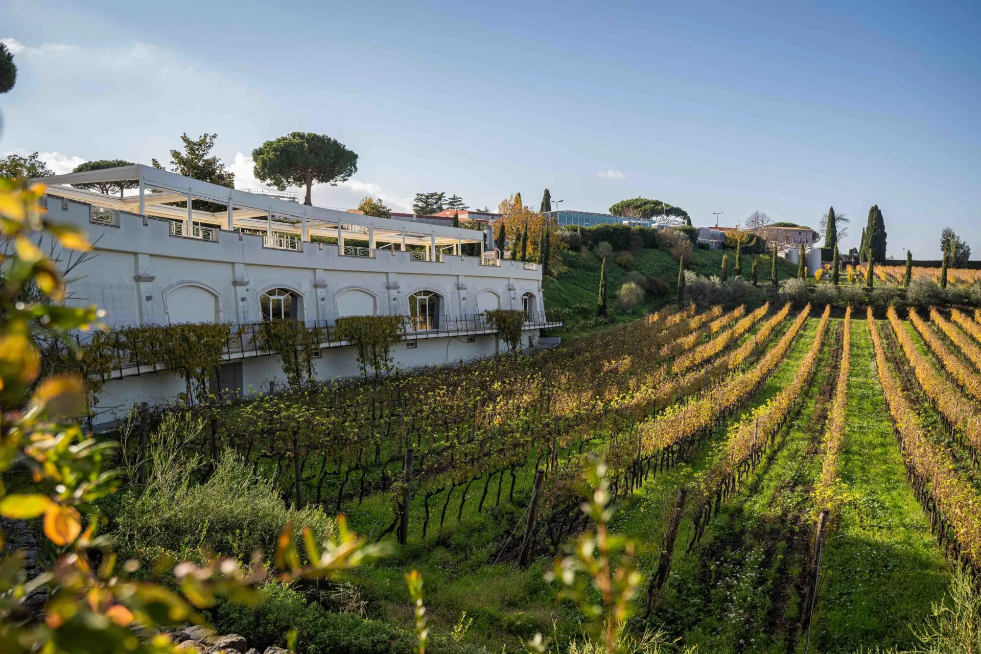 Thương hiệu Poggio Le Volpi – Tinh hoa rượu vang Ý từ Lazio | Wine Home Rượu Vang Nhập Khẩu Poggio le Volpi