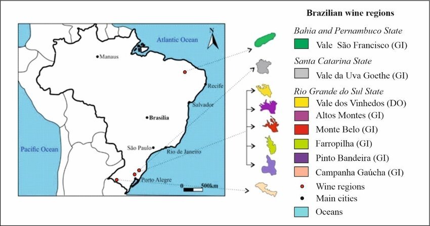 Khám Phá Rượu Vang Brazil – Sự Trỗi Dậy Từ Nam Mỹ | Wine Home Rượu Vang Nhập Khẩu Bản đồ rượu vang Brazil