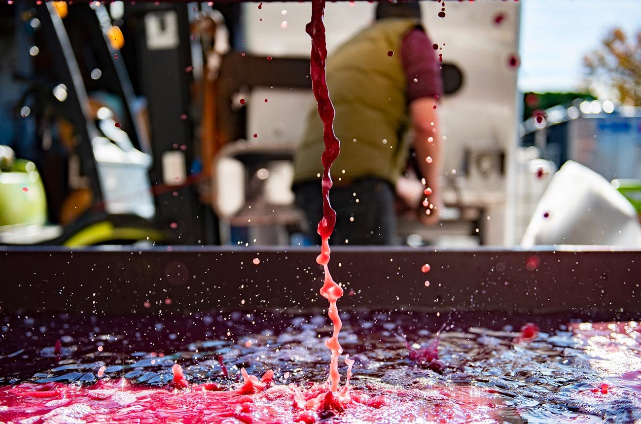 RƯỢU VANG HỒNG ĐƯỢC TẠO RA NHƯ THẾ NÀO? | Wine Home Rượu Vang Nhập Khẩu RƯỢU VANG HỒNG ĐƯỢC TẠO RA NHƯ THẾ NÀO?