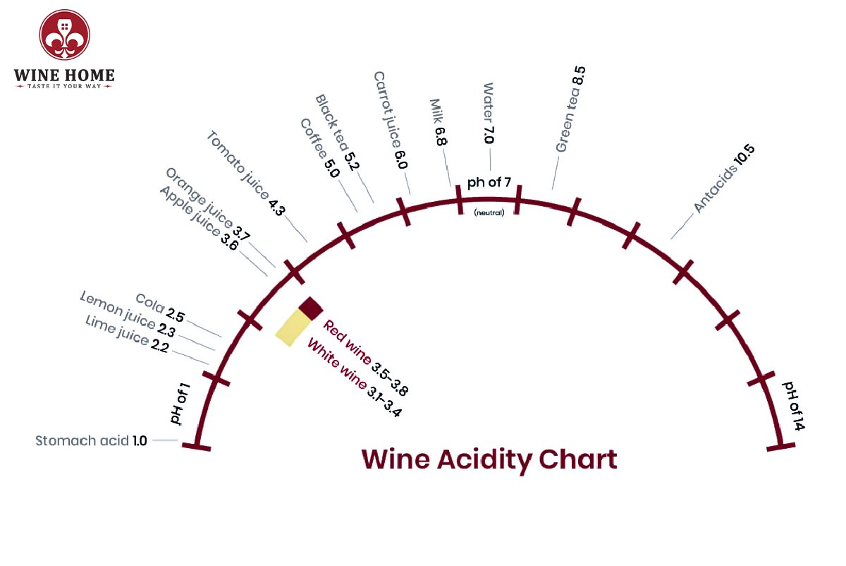 Độ axit ảnh hưởng thế nào đến vị vang đỏ? Tìm hiểu từ A–Z cùng WineHome | Rượu Vang Wine Home Độ axit ảnh hưởng thế nào đến vị vang đỏ?