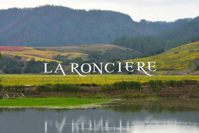 Thương hiệu Vina La Ronciere – Di sản rượu vang Chile từ năm 1949 | Wine Home Rượu Vang Nhập Khẩu Vina la Ronciere