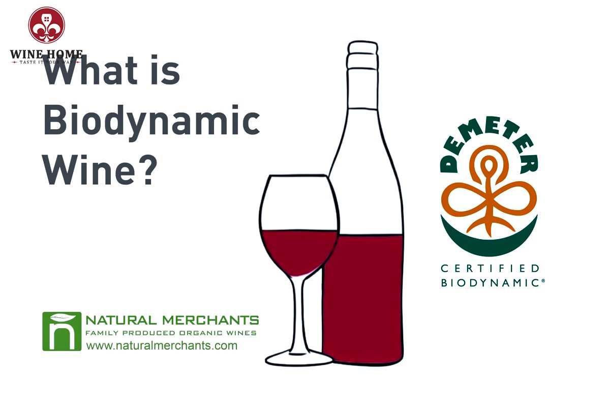 Rượu vang đỏ biodynamic – Xu hướng mới trong thế giới rượu vang | Rượu Vang Wine Home Rượu vang đỏ biodynamic