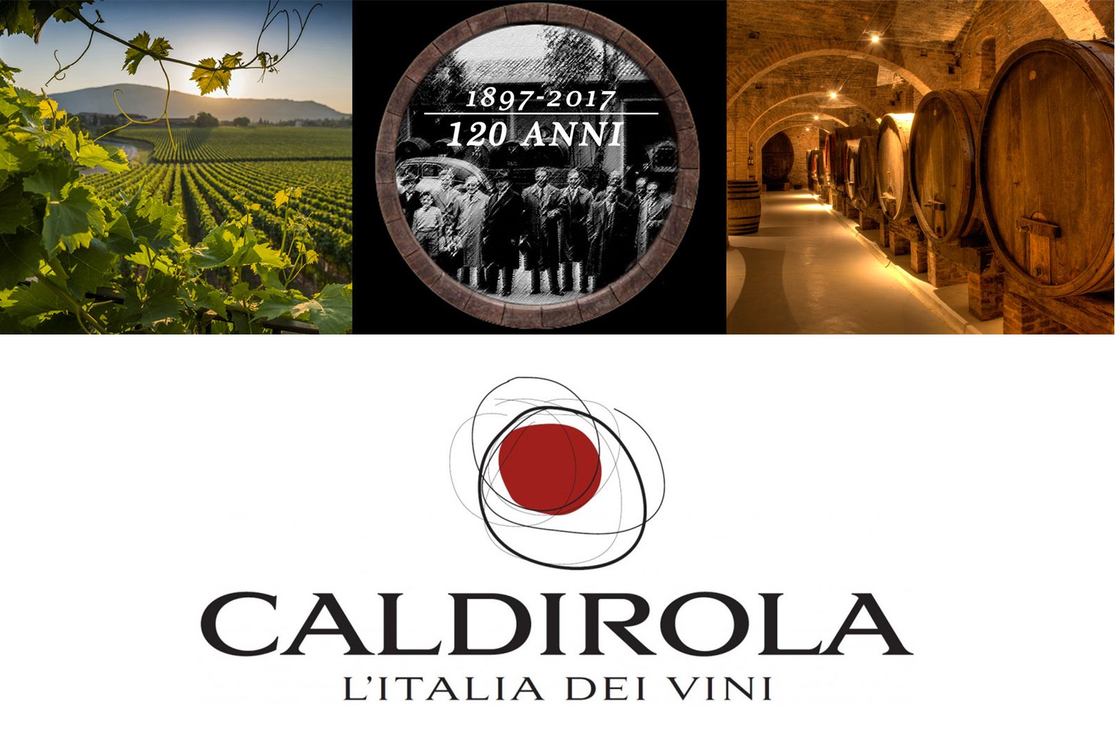 Thương hiệu Casa Vinicola Caldirola – Di sản rượu vang Ý hơn 125 năm | Wine Home Rượu Vang Nhập Khẩu Vinicola Caldirola