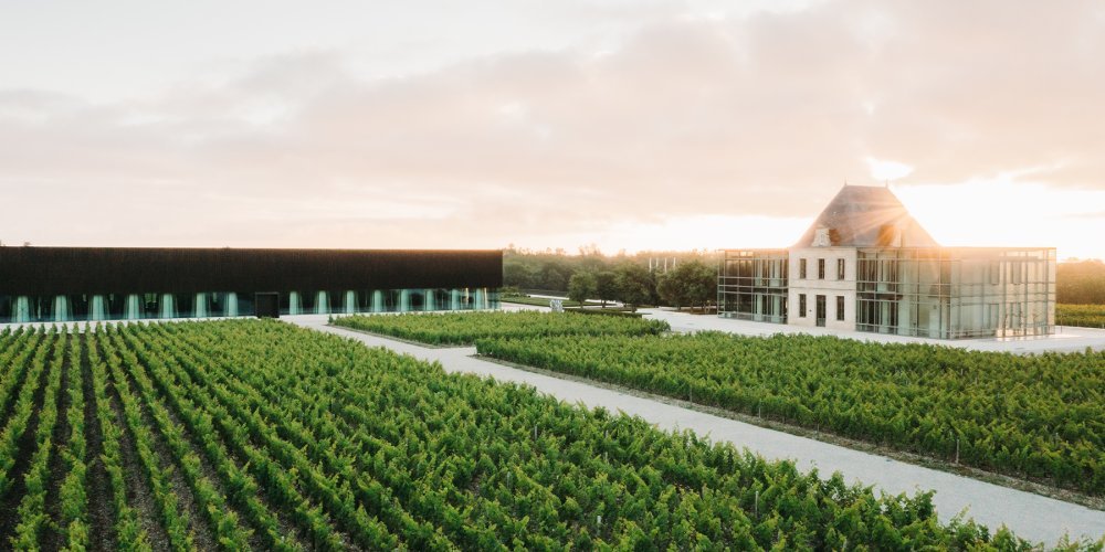 Thương hiệu Chateau Pedesclaux – Rượu vang Grand Cru Classé từ Pauillac | Wine Home Rượu Vang Nhập Khẩu Chateau Pedesclaux