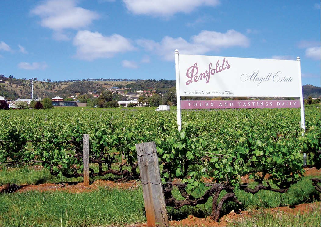 Thương hiệu Penfolds – Thương hiệu rượu vang biểu tượng của Úc | Wine Home Rượu Vang Nhập Khẩu Vườn nho Penfolds