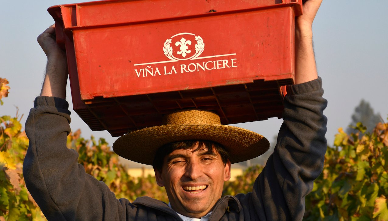 Thương hiệu Vina La Ronciere – Di sản rượu vang Chile từ năm 1949 | Wine Home Rượu Vang Nhập Khẩu Vina la Ronciere