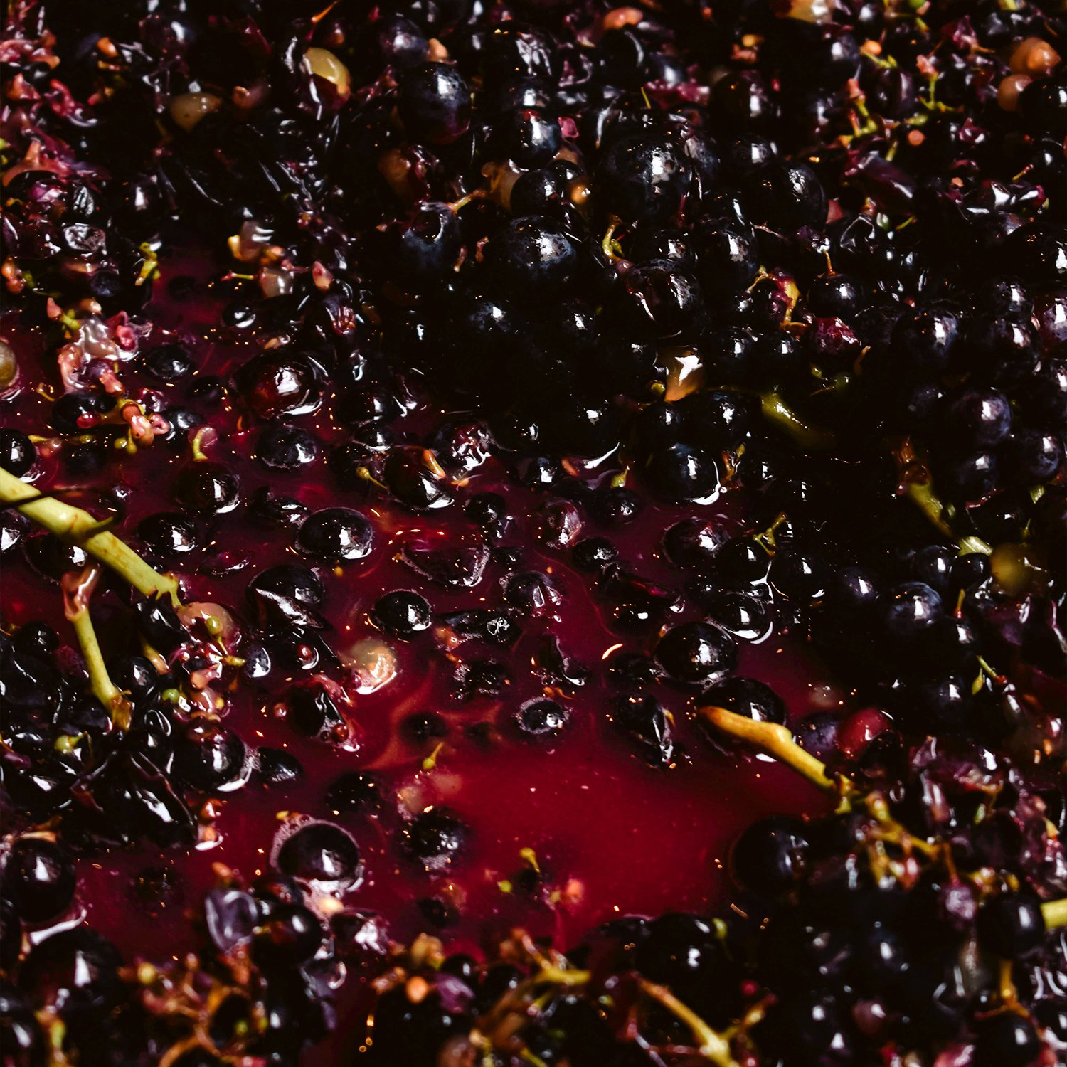 RƯỢU VANG ĐỎ ĐƯỢC TẠO RA NHƯ THẾ NÀO? | Wine Home Rượu Vang Nhập Khẩu RƯỢU VANG ĐỎ ĐƯỢC TẠO RA NHƯ THẾ NÀO?