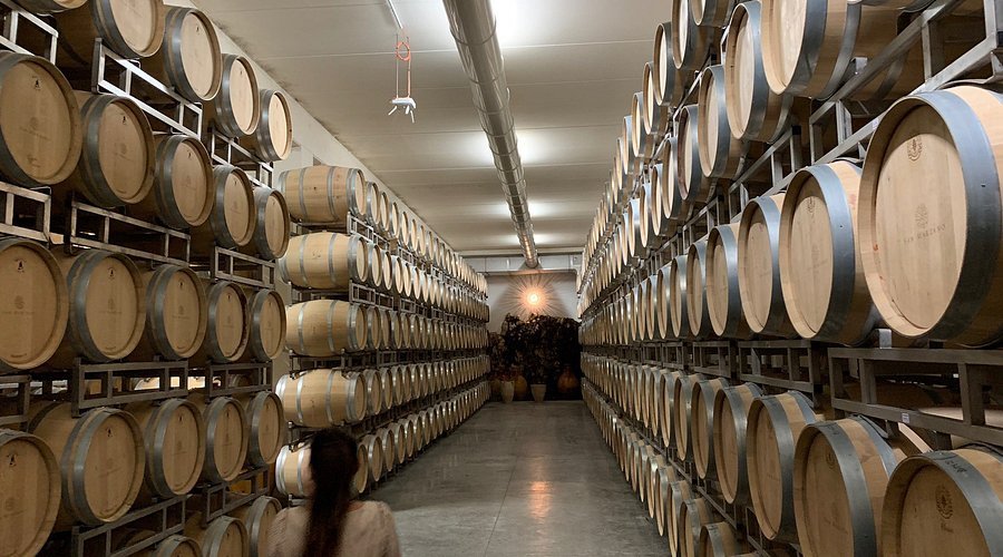 Cantine San Marzano – Di sản rượu vang Puglia từ năm 1962 | Wine Home Rượu Vang Nhập Khẩu Cantine San Marzano