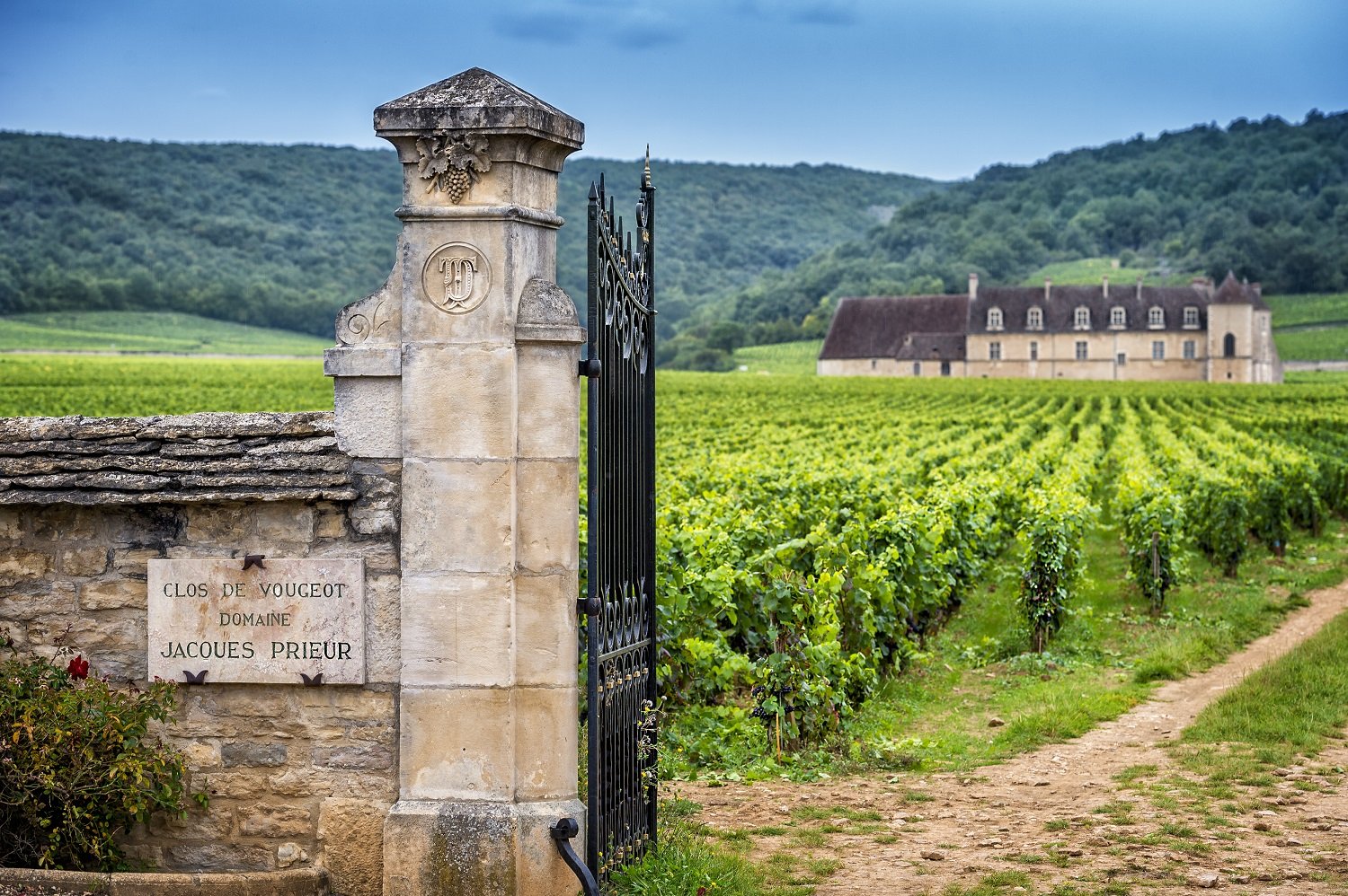 Tìm hiểu vùng Burgundy – Nơi sản sinh ra Pinot Noir thượng hạng | Rượu Vang Wine Home Các vườn nho tại Burgundy