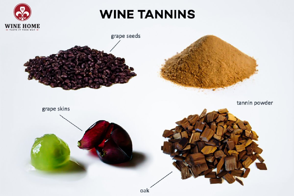 Tannin trong vang đỏ là gì? Ảnh hưởng thế nào đến hương vị và sức khỏe | Rượu Vang Wine Home Tannin trong vang đỏ là gì?