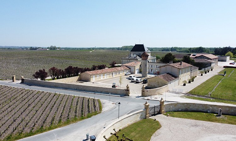 Thương hiệu Chateau Brane Cantenac – Đỉnh Cao Vang Margaux Grand Cru Classé 1855 | Wine Home Rượu Vang Nhập Khẩu Ruộng nho Chateau Brane Cantenac