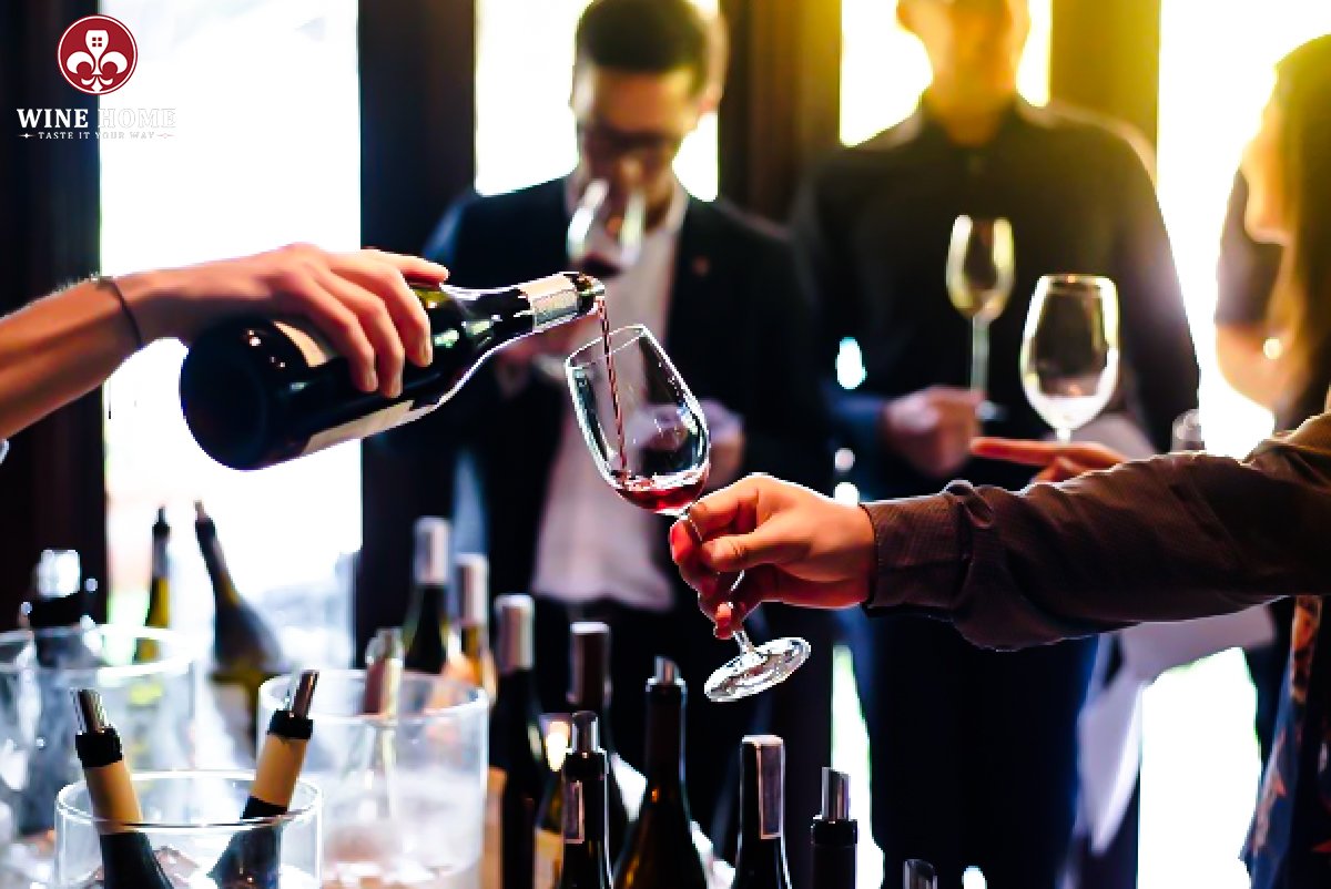 Hướng dẫn tasting rượu vang đỏ cho người mới – Cảm nhận rượu như chuyên gia | Rượu Vang Wine Home Hướng dẫn tasting rượu vang đỏ cho người mới