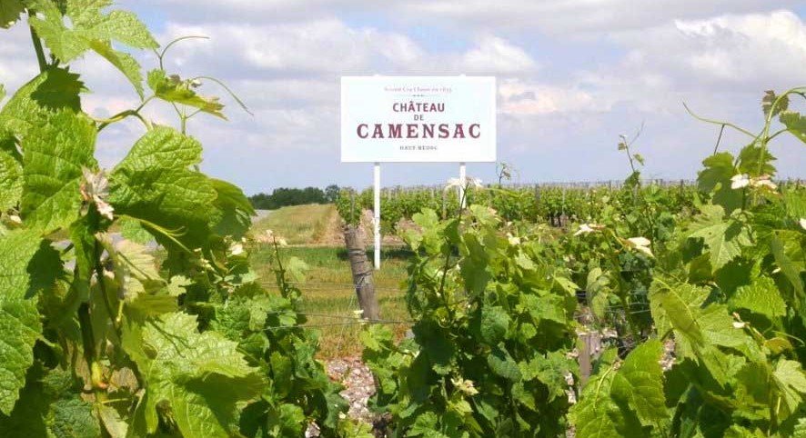 Thương Hiệu Chateau de Camensac – Di sản Grand Cru Classé giữa lòng Haut-Médoc | Wine Home Rượu Vang Nhập Khẩu Vườn nho Chateau de Camensac