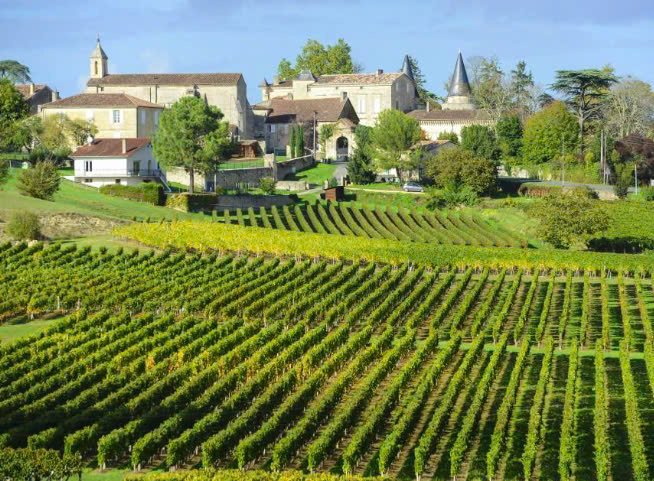 Chateau Verdignan - Vang Bordeaux Cru Bourgeois Đẳng Cấp Từ Haut-Médoc | Wine Home Rượu Vang Nhập Khẩu Vườn nho Ch.Verdignan
