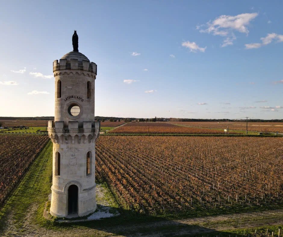 Khám Phá Chateau Batailley – Biểu Tượng Lịch Sử Của Pauillac Grand Cru Classé 1855 | Wine Home Rượu Vang Nhập Khẩu Vườn nho Chateau Batailley