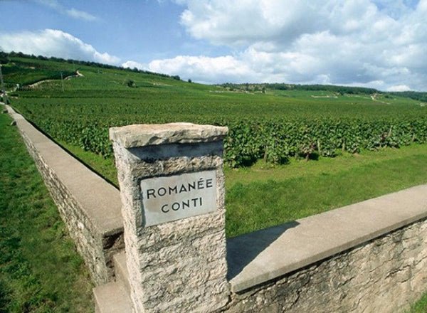 Top Những Thương Hiệu Rượu Vang Pháp Cao Cấp Mà Bạn Nên Biết | Rượu Vang Wine Home Domaine de la Romanée-Conti