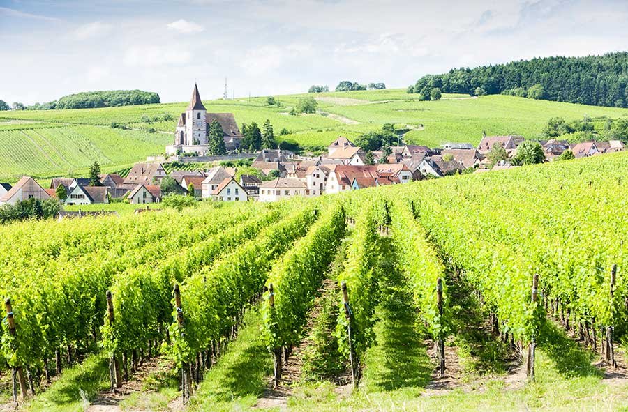 Vùng rượu vang Alsace – Vùng đất rượu vang trắng tinh tế mang đậm dấu ấn nước Đức giữa lòng nước Pháp | Rượu Vang Wine Home Vùng rượu vang Alsace