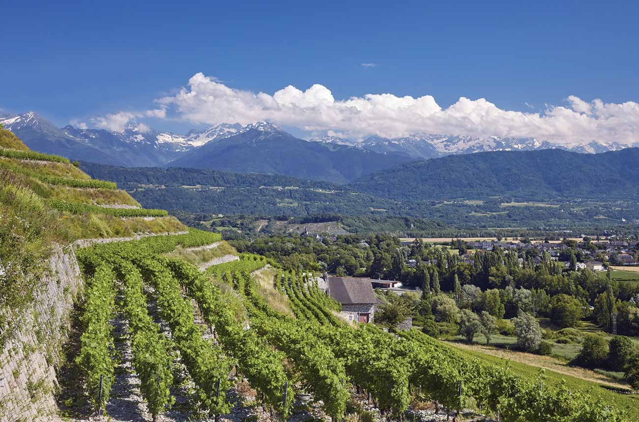 Vùng rượu vang Jura & Savoie – Vùng rượu vang núi độc đáo của Pháp mà ít ai biết tới | Rượu Vang Wine Home Vùng rượu vang Jura & Savoie