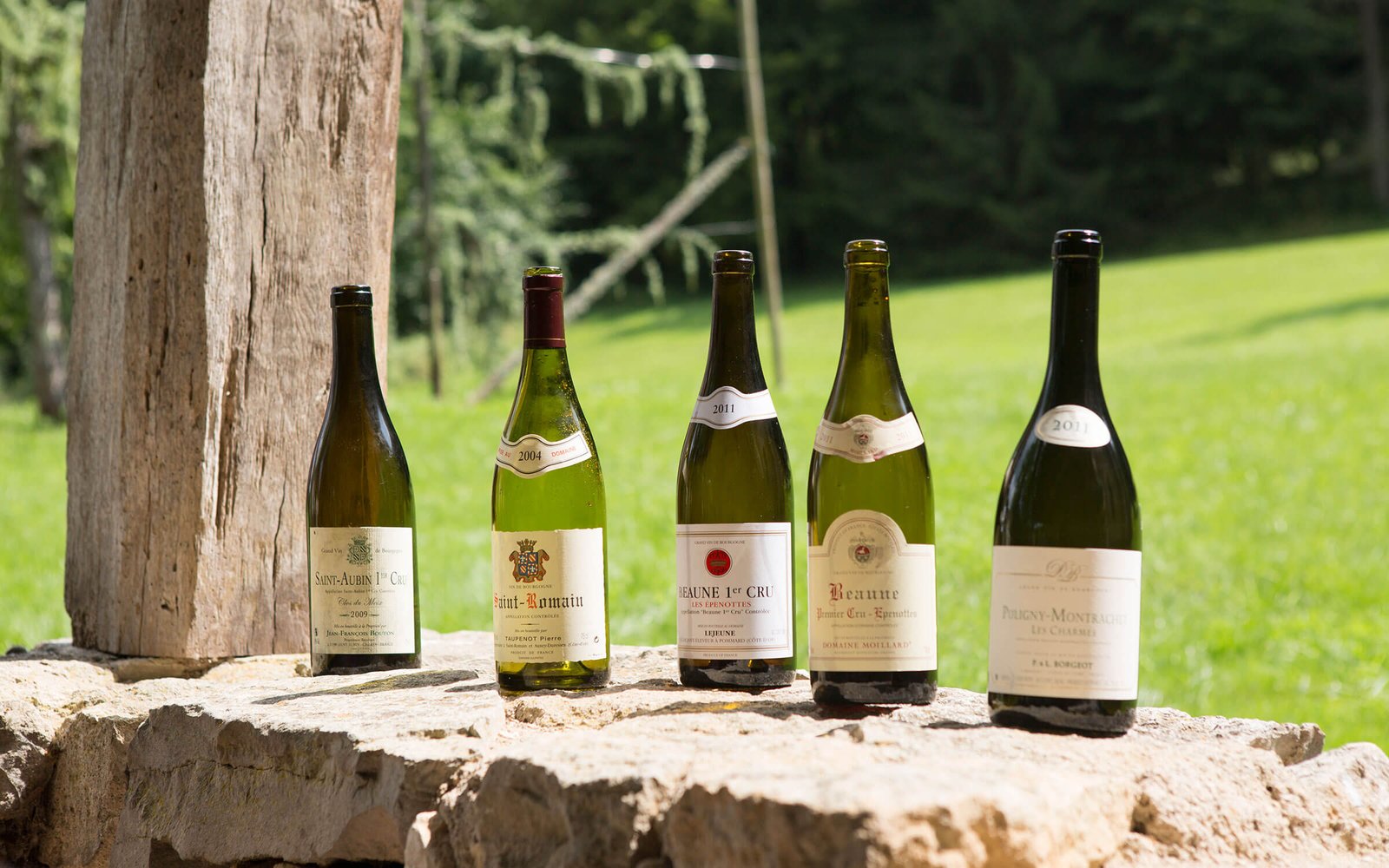Vì Sao Rượu Vang Trắng Burgundy Lại Đắt Đỏ Đến Thế? | Rượu Vang Wine Home Vì Sao Rượu Vang Trắng Burgundy Lại Đắt Đỏ Đến Thế?