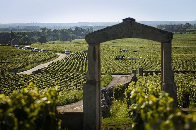 Vùng rượu vang Burgundy – Cái nôi huyền thoại của Pinot Noir và Chardonnay trứ danh thế giới | Rượu Vang Wine Home Vùng rượu vang Burgundy