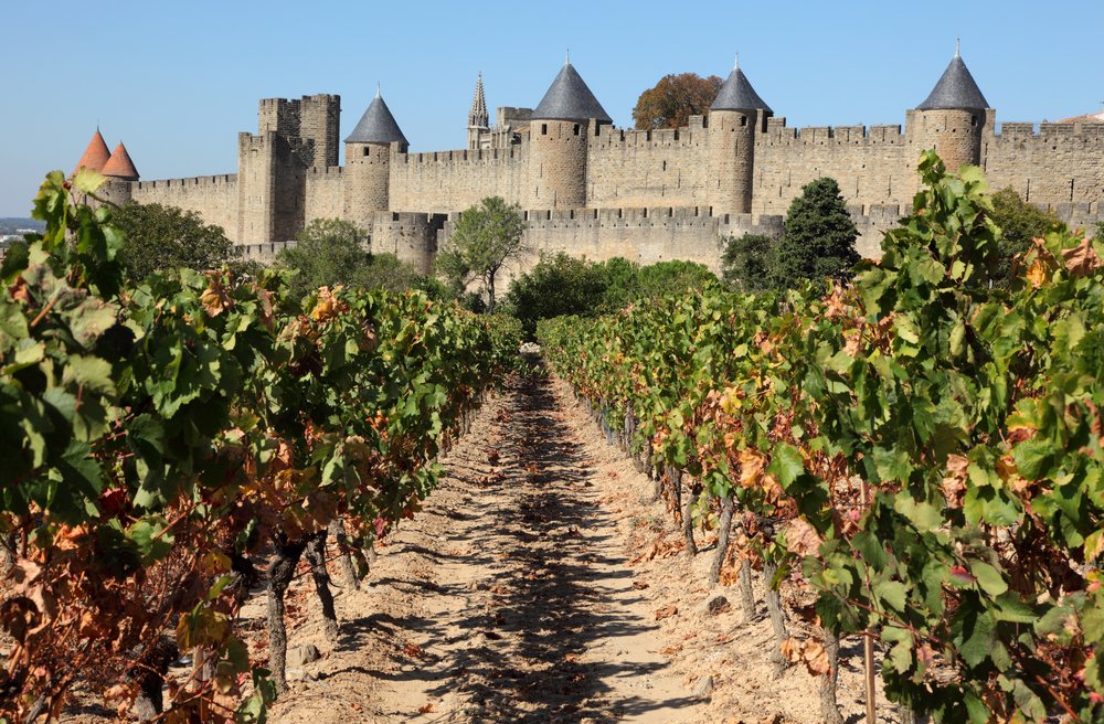 Vùng rượu vang Languedoc-Roussillon – Kho báu rượu vang Pháp với mức giá hợp lý và sự đa dạng đáng kinh ngạc | Rượu Vang Wine Home Vùng rượu vang Languedoc-Roussillon