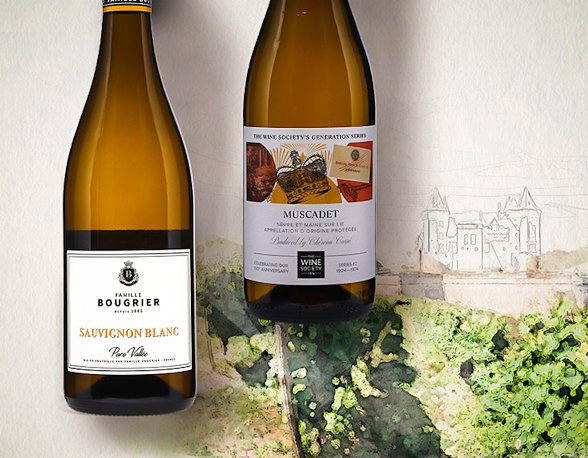 Rượu Vang Trắng Pháp – Khám Phá Vị Tươi Mát Từ Vùng Loire Và Alsace | Rượu Vang Wine Home Vang trắng Loire Valley