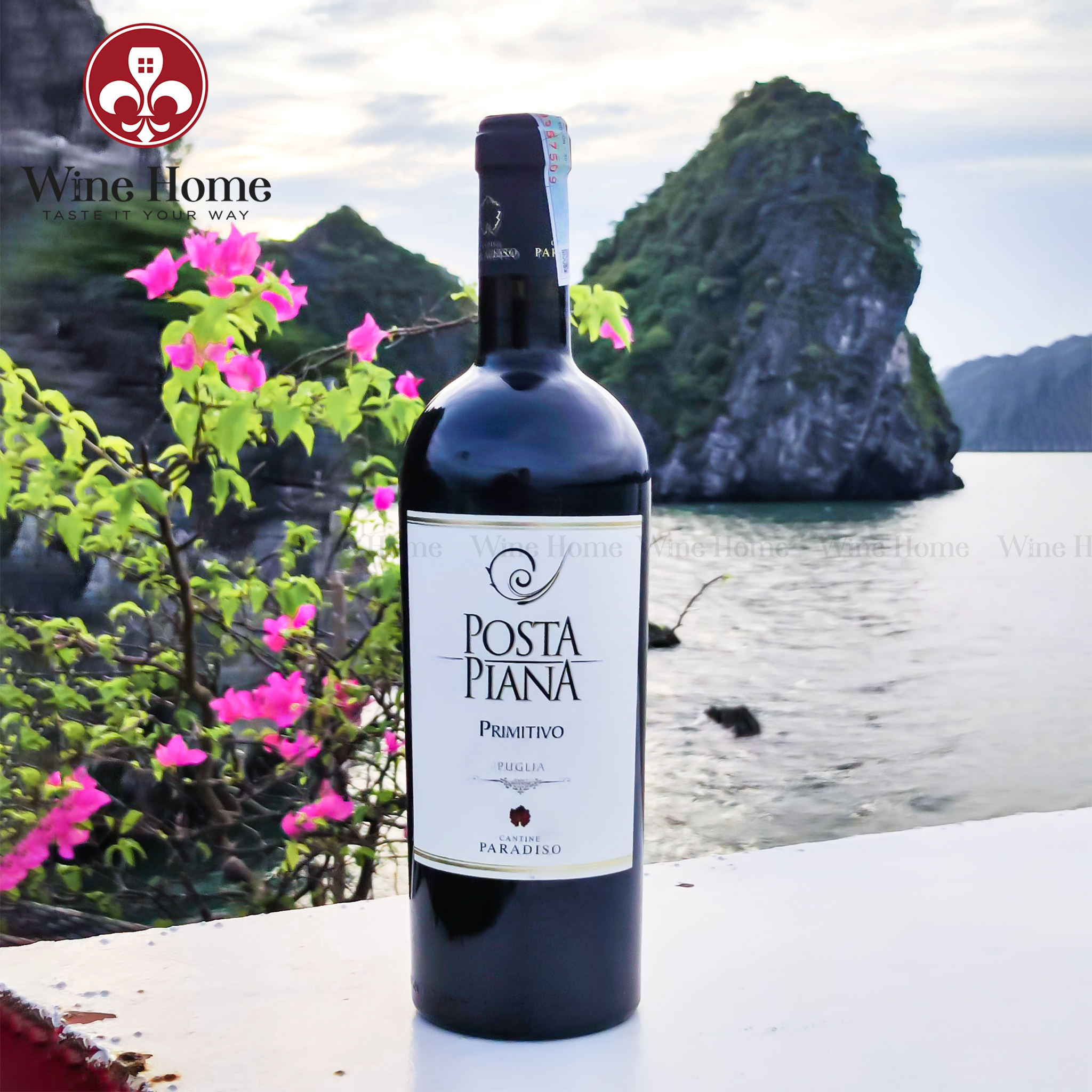 Rượu vang Ý : Posta Piana Primitivo Paradiso 14,5%