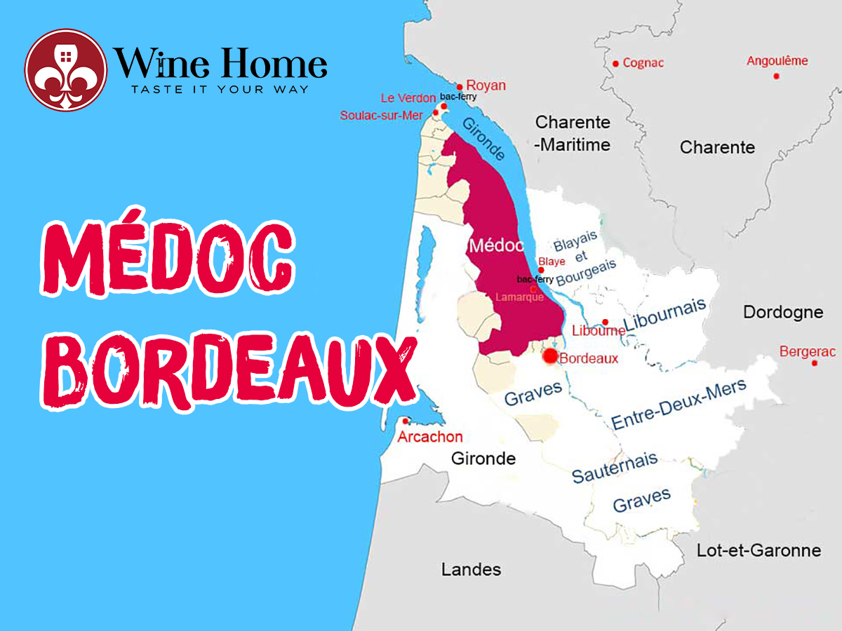 Medoc - Bordeaux