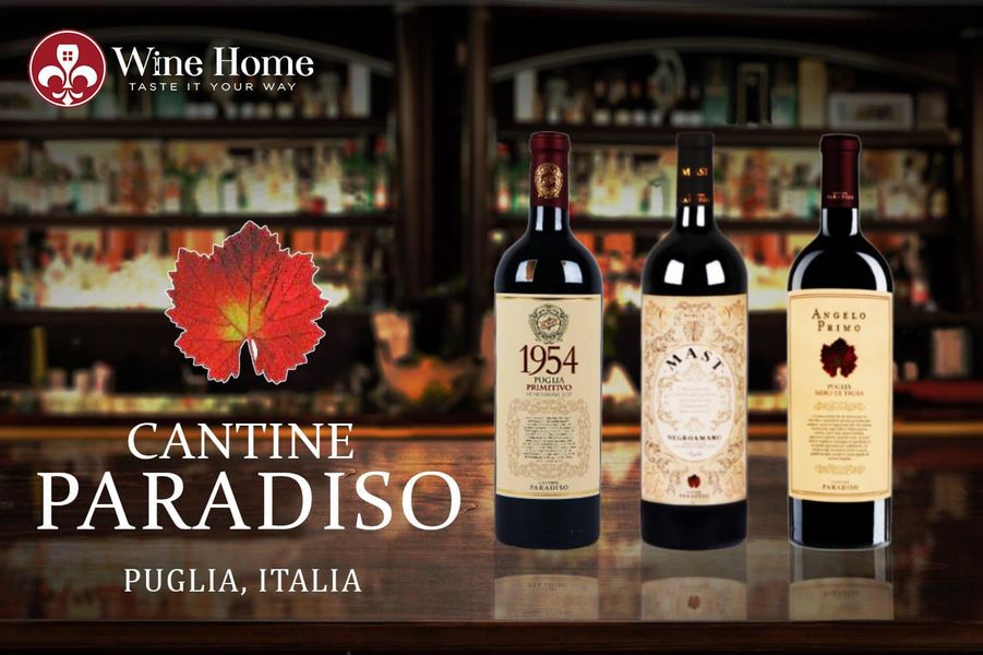 Thương hiệu rượu vang Cantine Paradiso và các sản phẩm đẳng cấp