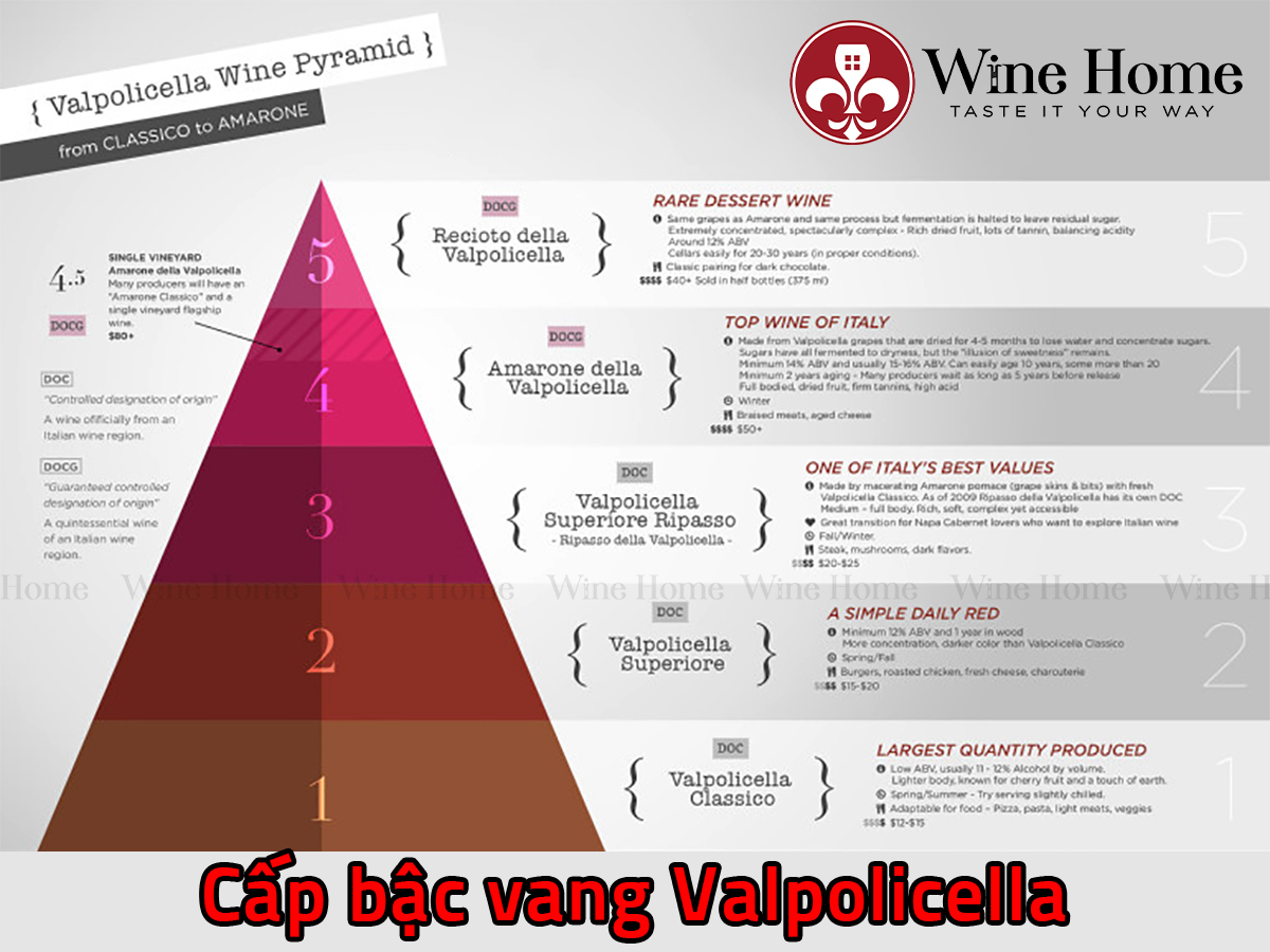 Các cấp bậc rượu vang vùng Valpolicella