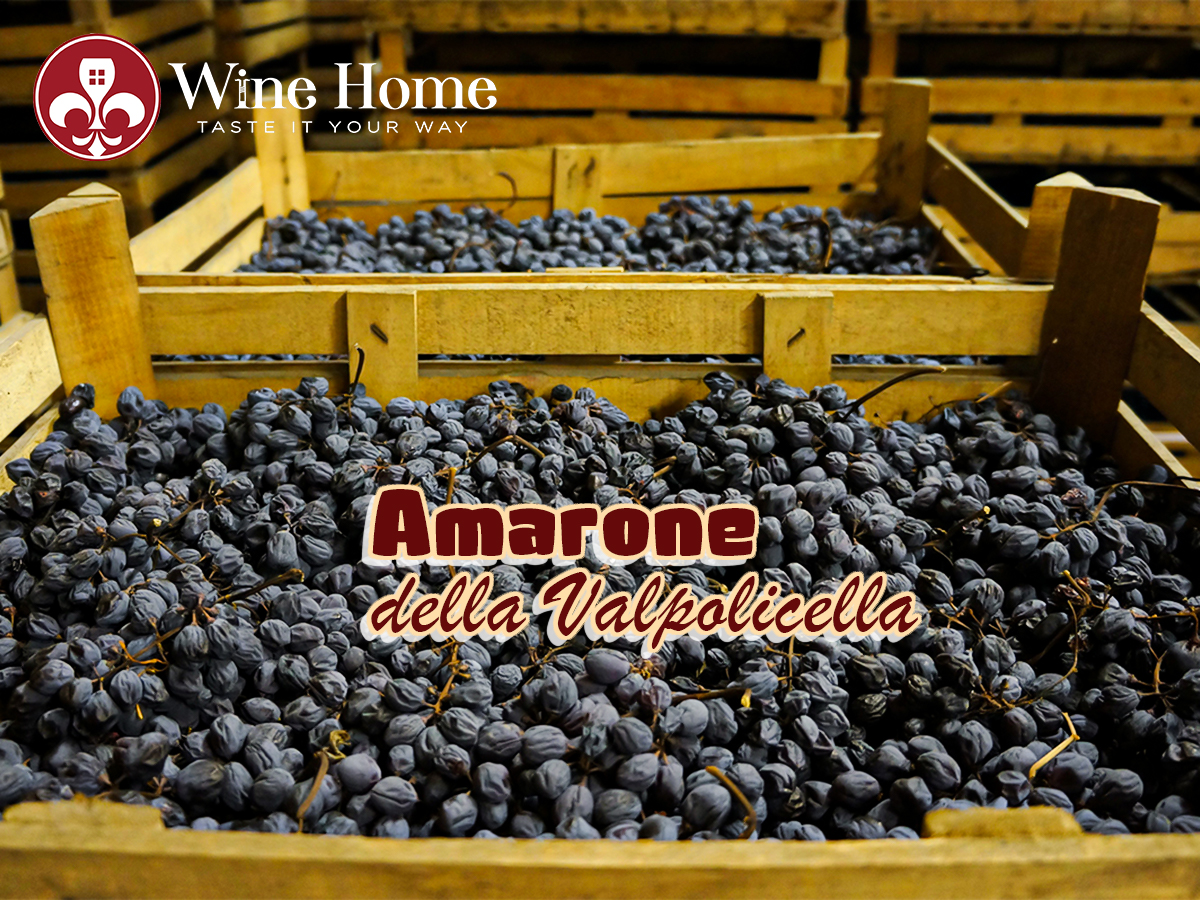 Amarone là gì? Tìm hiểu rượu vang Amarone,Cách làm rượu Amarone