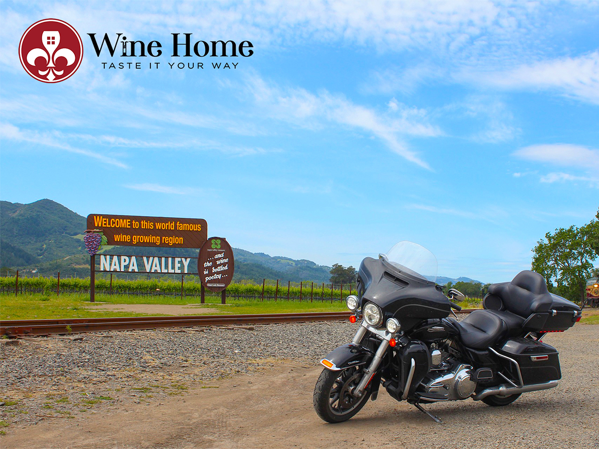Khám phá thung lũng Napa Valley, California  – vùng rượu vang bậc nhất tại Mỹ