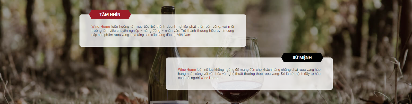 Giới thiệu | Rượu Vang Wine Home 123123 | Rượu Vang Wine Home
