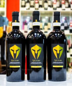Rượu Vang Ý Victory Primitivo Salento