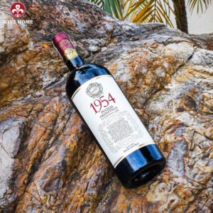 Rượu Vang Ý 1954 Primitivo Cantine Paradiso