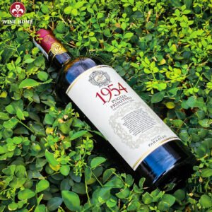 Rượu Vang Ý 1954 Primitivo Cantine Paradiso