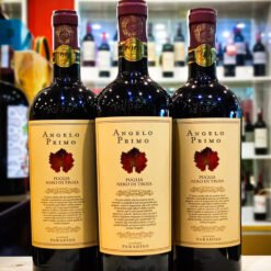 Rượu Vang Ý ANGELO PRIMO Nero Di Troia – Siêu Phẩm Vang Đỏ Từ Cantine Paradiso | Rượu Vang Wine Home angelo moi scaled | Rượu Vang Wine Home
