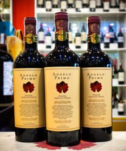 angelo moi scaled | Rượu Vang Wine Home