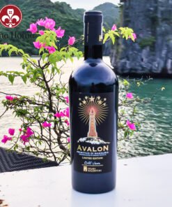 ava | Rượu Vang Wine Home