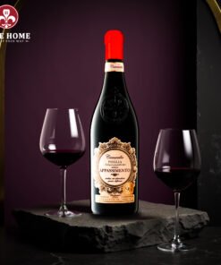 Rượu vang Ý Camasella Appassimento Puglia