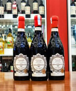 Rượu vang Ý Camasella Appassimento Puglia