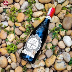 Rượu vang Ý Camasella Appassimento Puglia – Vang Ý Đậm Đà, Hậu Ngọt Dài | Rượu Vang Wine Home Rượu vang Ý Camasella Appassimento Puglia